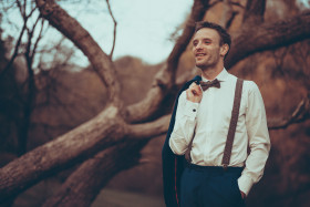 Stock Image: Handsome businessman with bow tie