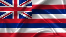 Stock Image: hawaii flag