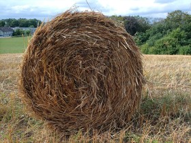 Stock Image: Hay bale