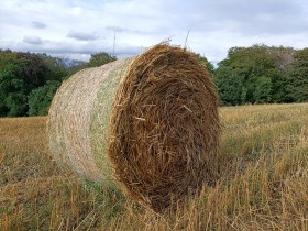 Stock Image: Hay bale on a field in Germany