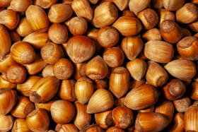 Stock Image: hazelnut background