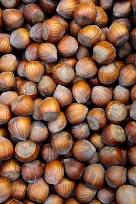 Stock Image: Hazelnuts