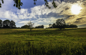 Stock Image: hdr landscape two trees