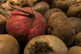 Stock Image: healthy beetroot