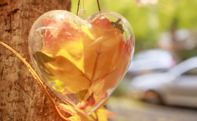 Stock Image: Heart of autumn