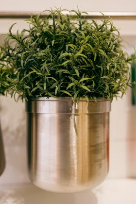Stock Image: Herb pot in the kitchen