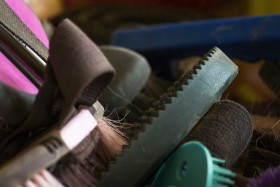 Stock Image: horse brushes