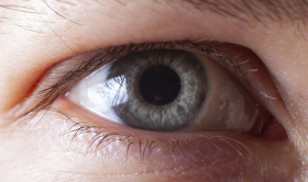 Stock Image: Human blue eye close-up