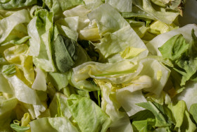 Stock Image: Iceberg lettuce