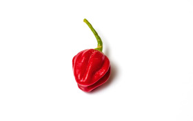 Stock Image: infinity chilli red isolated on white background