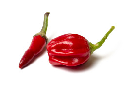 Stock Image: infinity hot chilli pepper red