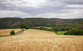 Stock Image: Landscape with a country road somewhere in germany