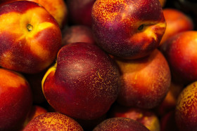 Stock Image: large amount of nectarines