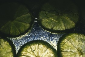 Stock Image: Lime slices in the ice