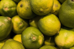 Stock Image: limes in a box