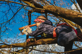 Stock Image: Little boy on a tree looks through binoculars dressed as a pirate