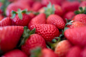 Stock Image: Lots of strawberries