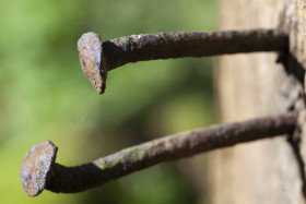 Stock Image: Macro Close up shot of Rusty Nails