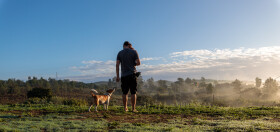 Stock Image: Man walking with his dog in the foggy morning