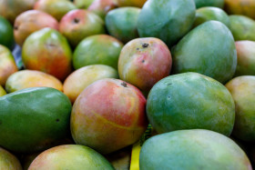 Stock Image: Mangos background