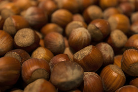 Stock Image: many hazelnuts