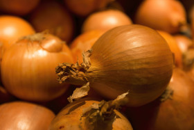 Stock Image: many onions
