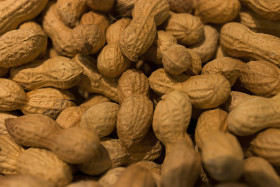 Stock Image: many peanuts