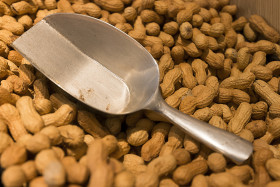 Stock Image: many peanuts