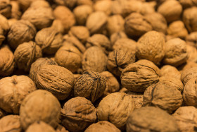 Stock Image: many walnuts