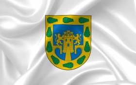 Stock Image: mexico city flag