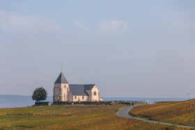 Stock Image: Monastery on a vineyard