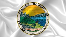 Stock Image: montana seal