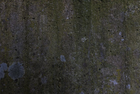 Stock Image: mossy concrete stone texture