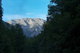Stock Image: mountain between forest