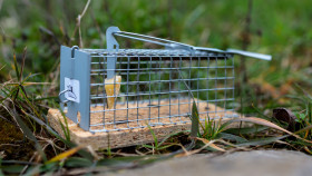 Stock Image: mouse trap to catch them alive in the garden