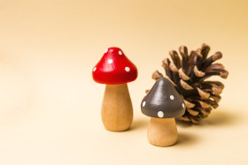 Stock Image: mushrooms autumn decorations