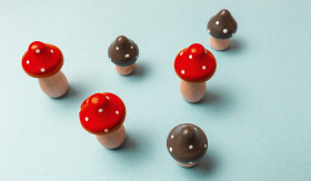 Stock Image: mushrooms blue background