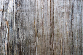 Stock Image: Natural Wood Texture