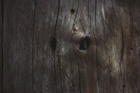 Stock Image: natural woodgrain texture