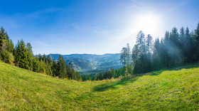 Stock Image: Nature Reserve Wildsee Hornisgrinde