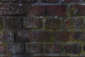 Stock Image: old brick wall texture 02