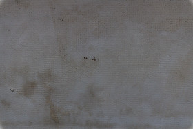 Stock Image: Old Grey Wall Texture