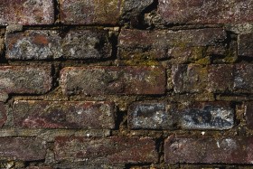 Stock Image: old grunge brick wall texture background