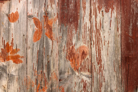 Stock Image: old grunge wood background