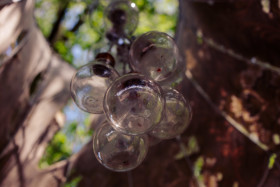 Stock Image: old light bulbs