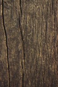 Stock Image: old wood grain texture