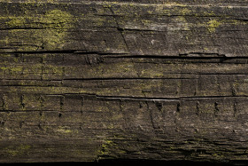 Stock Image: old wood grain texture