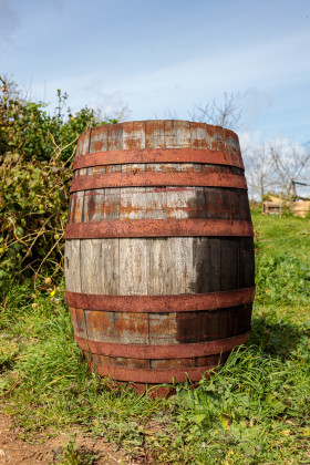Stock Image: Old wooden barrel in the garden
