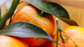 Stock Image: Orange Mandarins