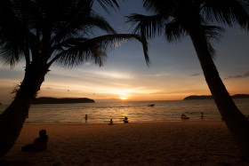 Stock Image: palm beach